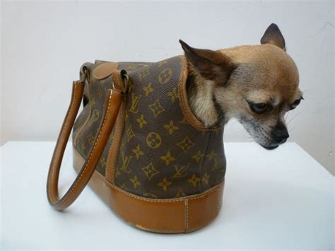 chihuahua nelle louis vuitton|Dog Park Catwalk: How to Outfit Your Pet in Louis Vuitton, .